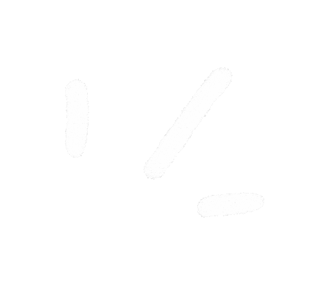 Source: Wild Roads Ahead